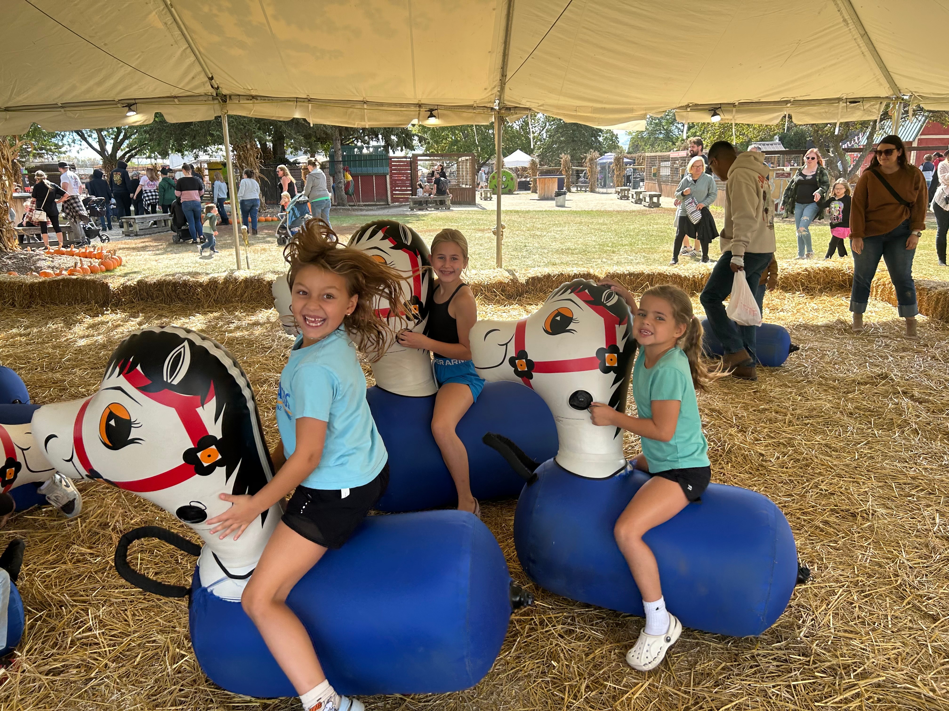 Fall Festival